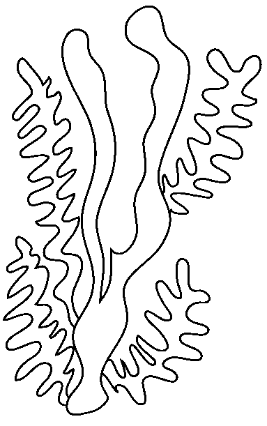 coloriage algue 03