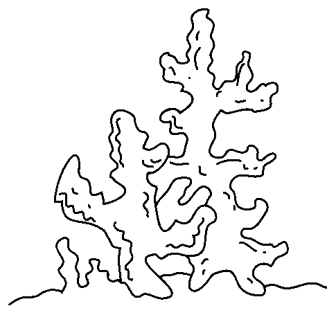 coloriage algue 04