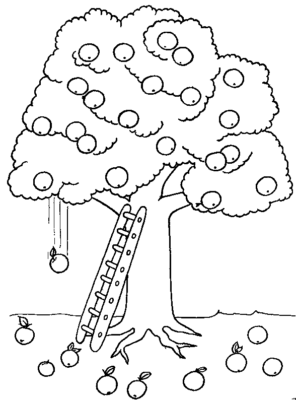 coloriage arbre 03