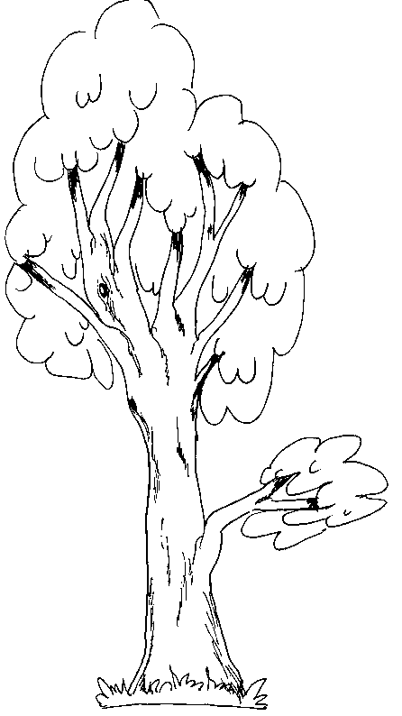 coloriage arbre 06