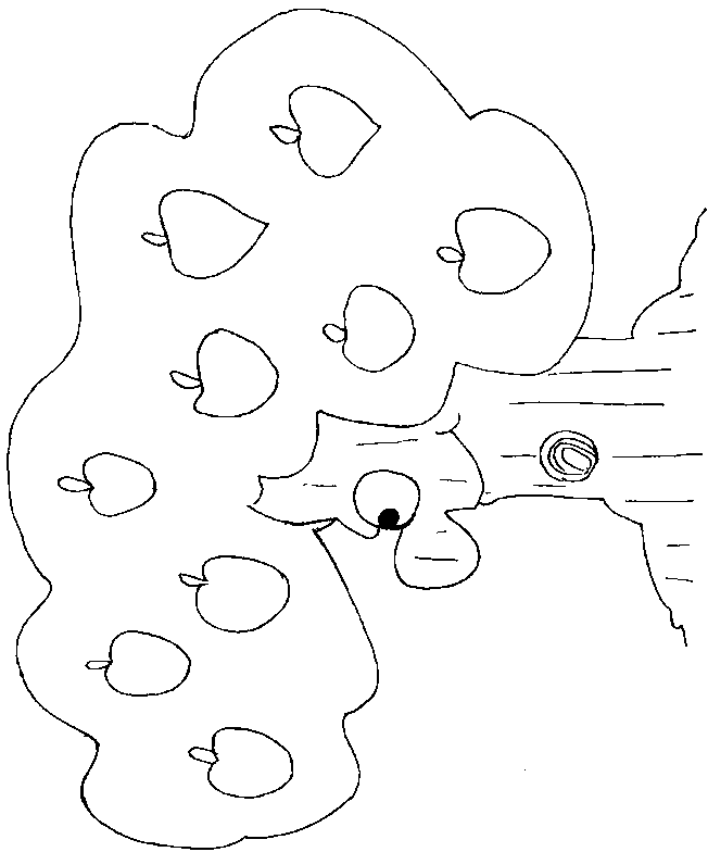 coloriage arbre 07