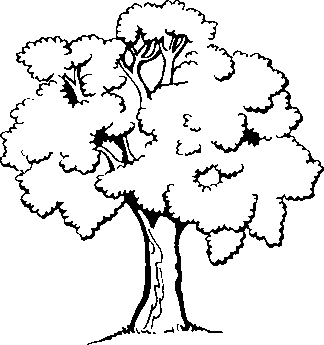 coloriage arbre 23