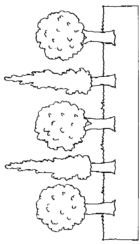 coloriage arbre 24