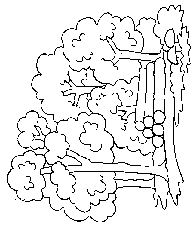 coloriage arbre 26