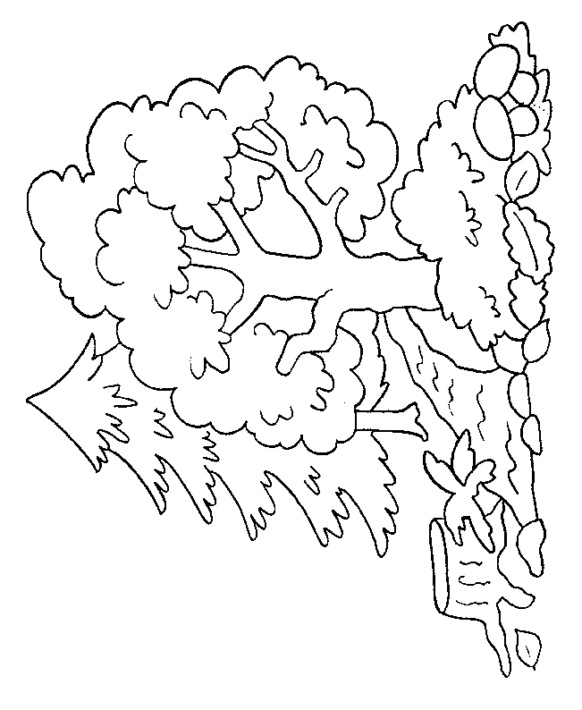coloriage arbre 27
