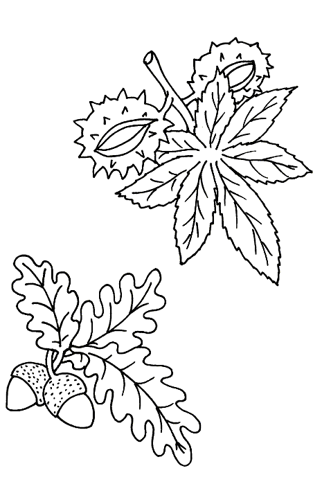 coloriage de l automne 05