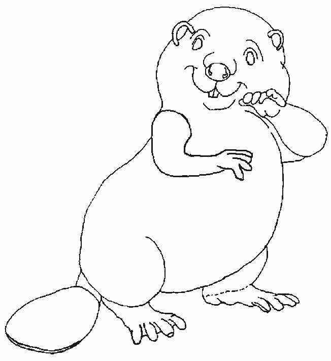 coloriage castor 11