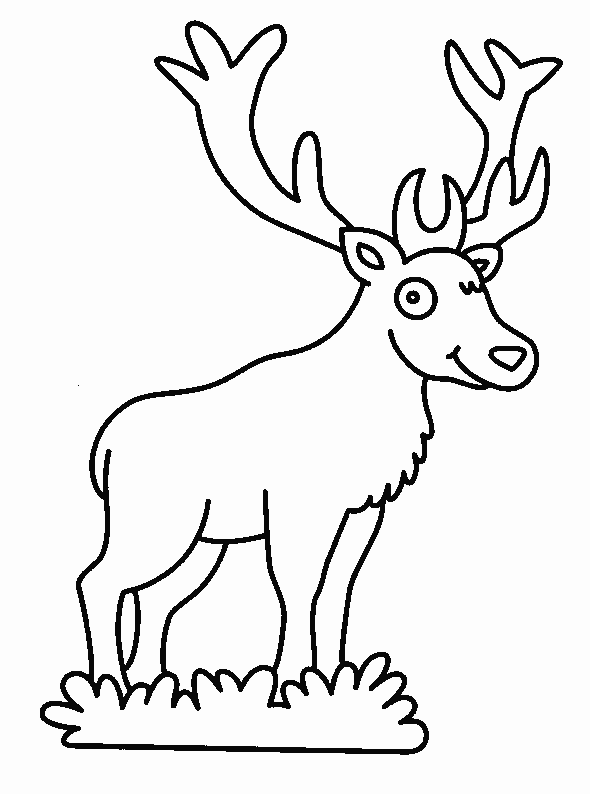 coloriage cerf 04
