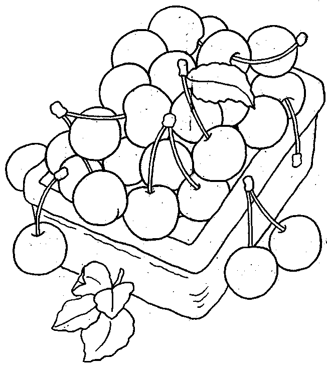 coloriage cerise 06