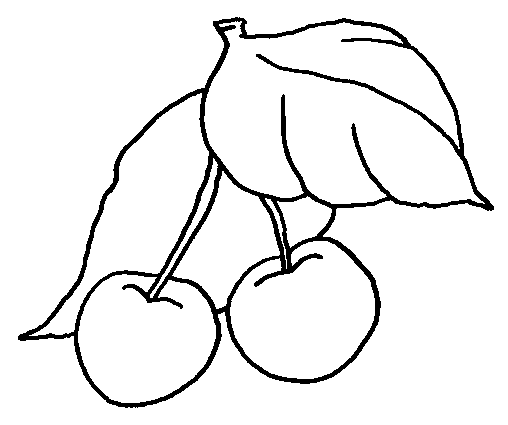 coloriage cerise 14