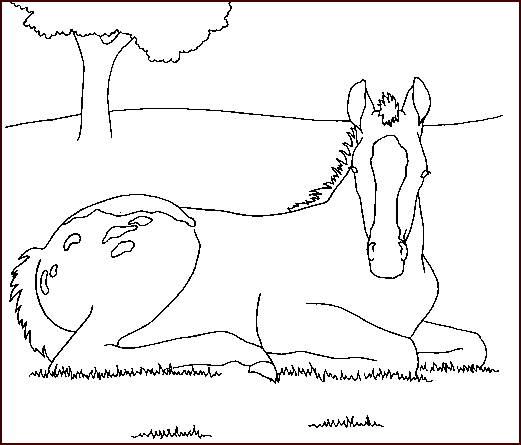 coloriage cheval 40