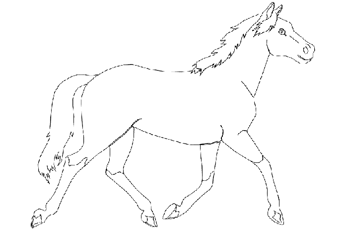 coloriage cheval 83