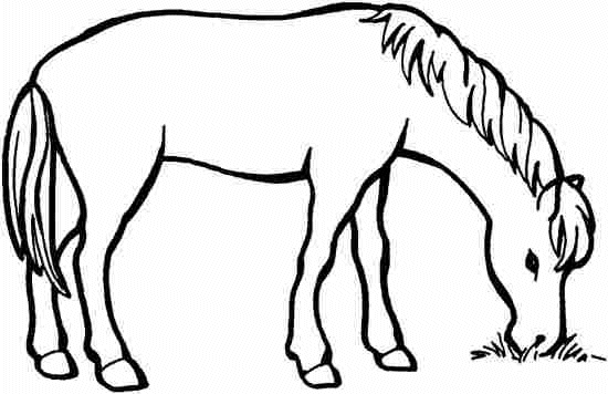 coloriage cheval 87