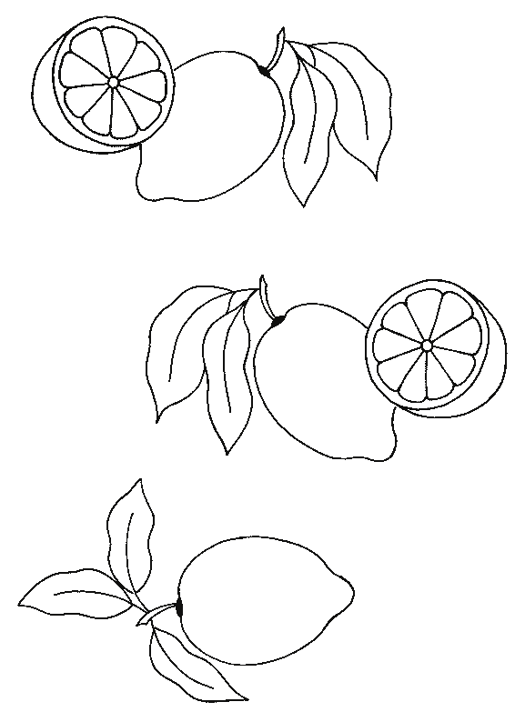 coloriage citron 03
