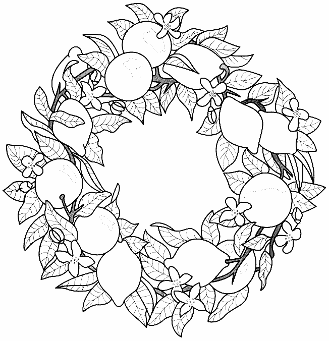 coloriage citron 04