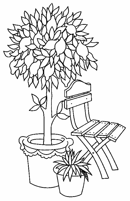 coloriage citron 05