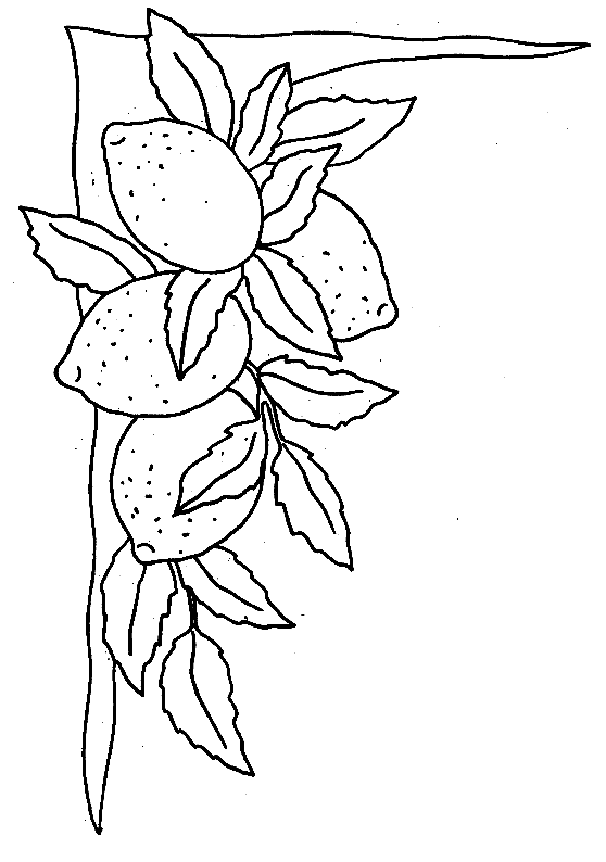 coloriage citron 10