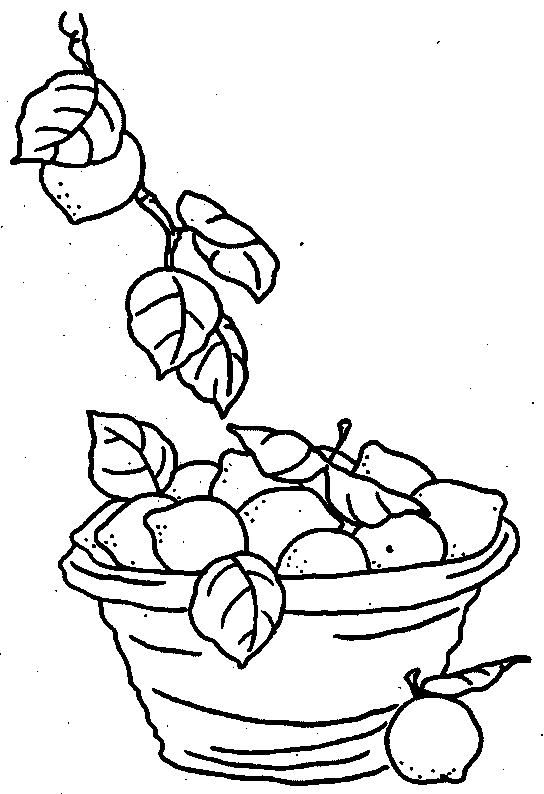 coloriage citron 11