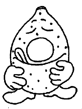 coloriage citron 13