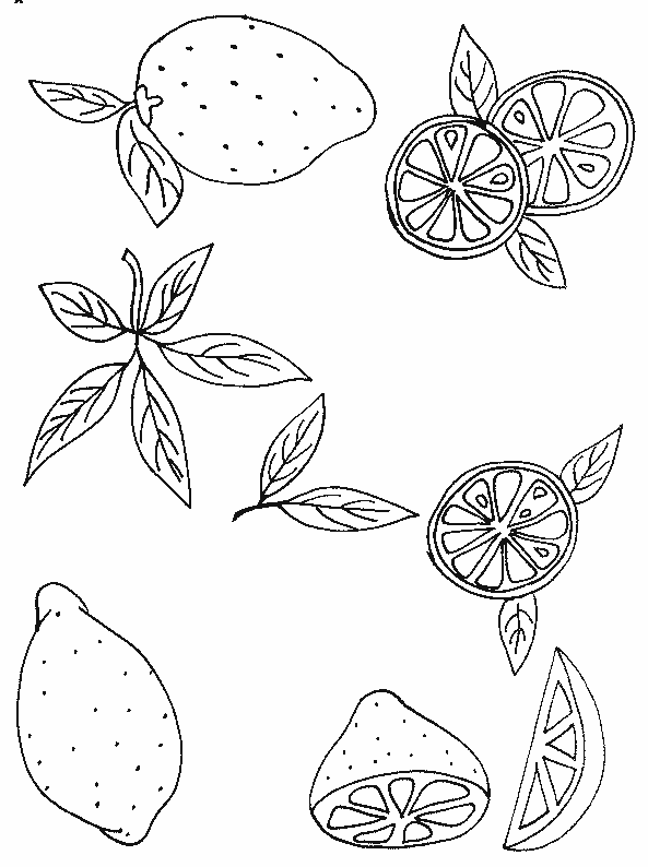 coloriage citron 18