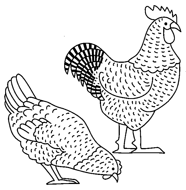 coloriage coq 06