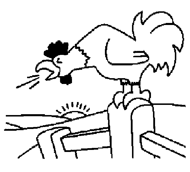 coloriage coq 11