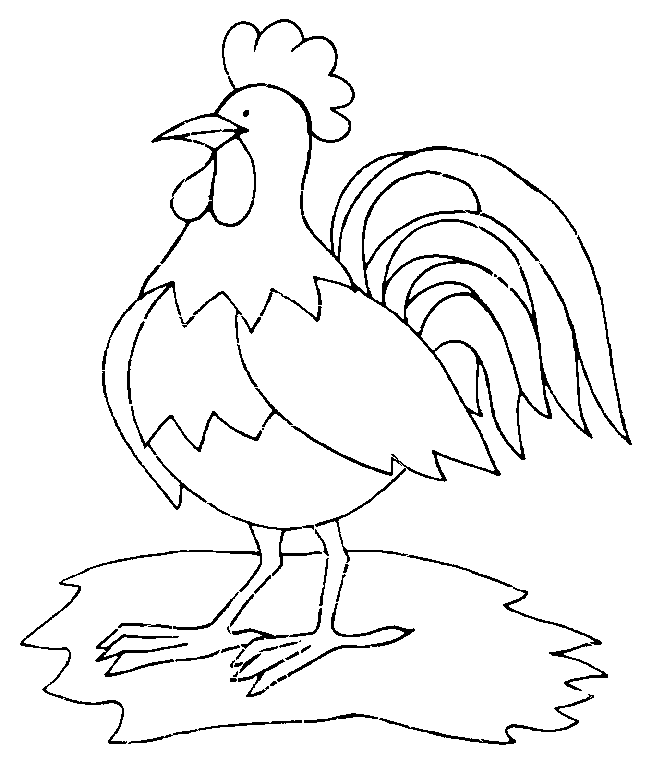 coloriage coq 14