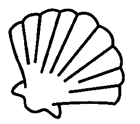 coloriage coquillage 01