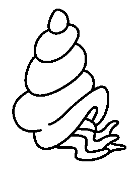 coloriage coquillage 10