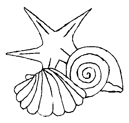 coloriage coquillage 12