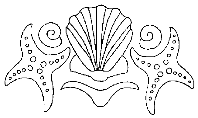 coloriage coquillage 13