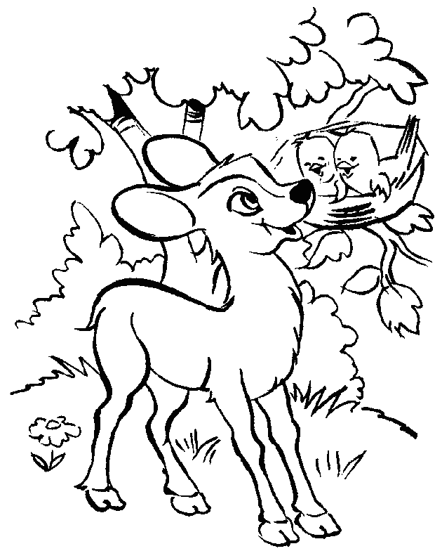 coloriage faon 03