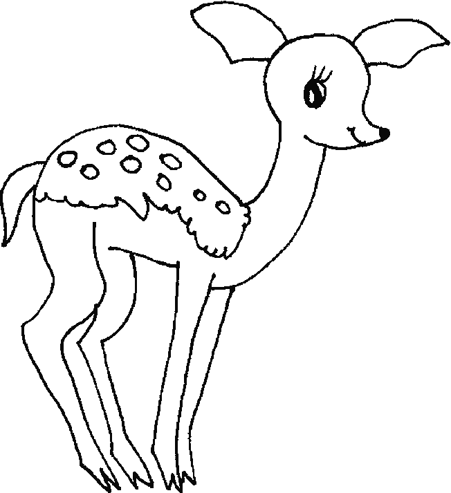 coloriage faon 05