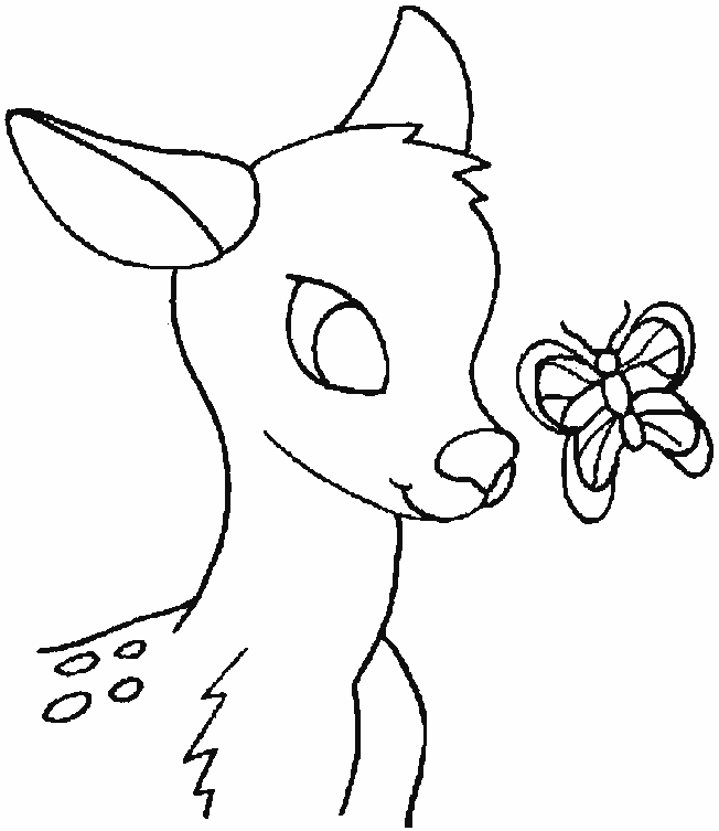 coloriage faon 08