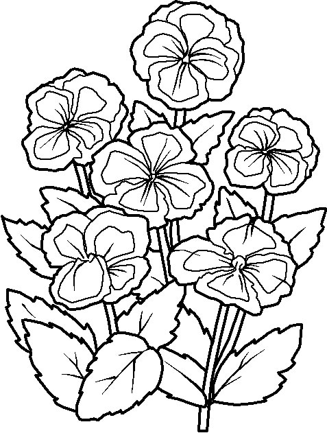coloriage fleur 05