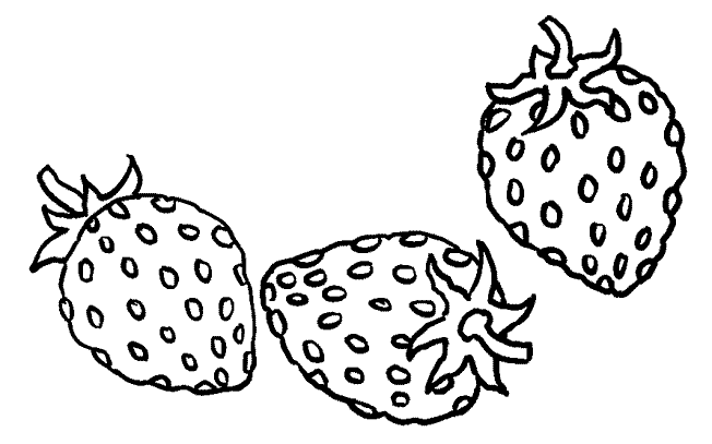 coloriage fraise 03