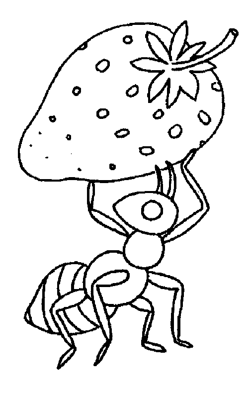 coloriage fraise 04