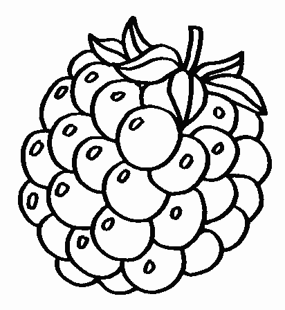 coloriage framboise 01