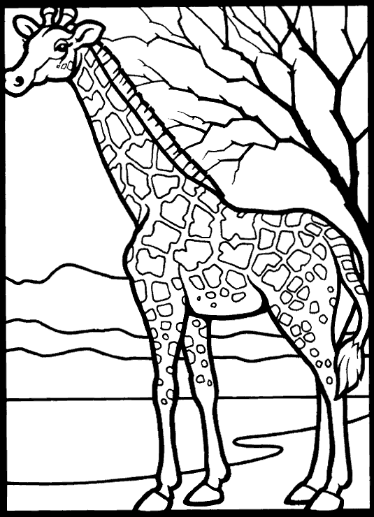 coloriage girafe 22