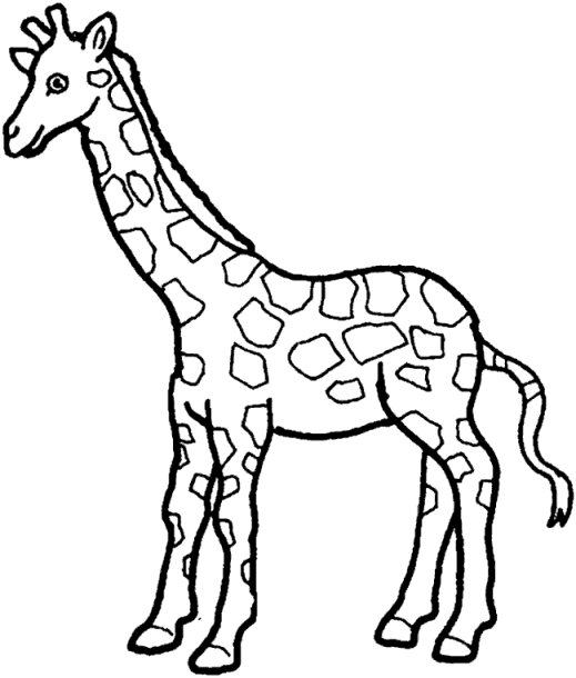 coloriage girafe 24