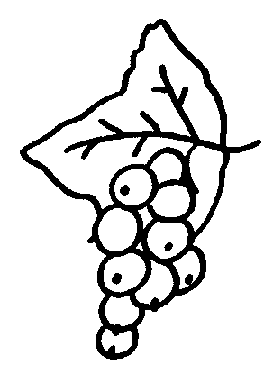 coloriage groseille 01