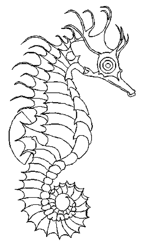 coloriage hippocampe 08