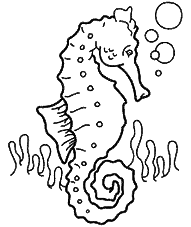 coloriage hippocampe 10