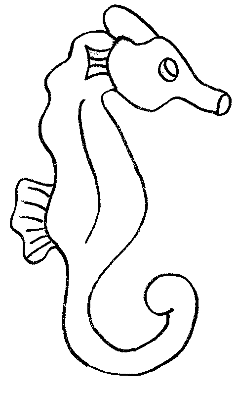 coloriage hippocampe 35