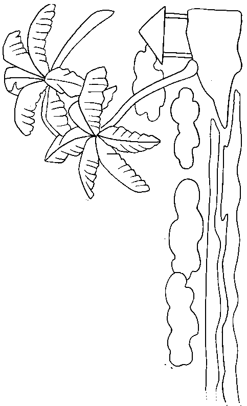 coloriage ile deserte paradis 04
