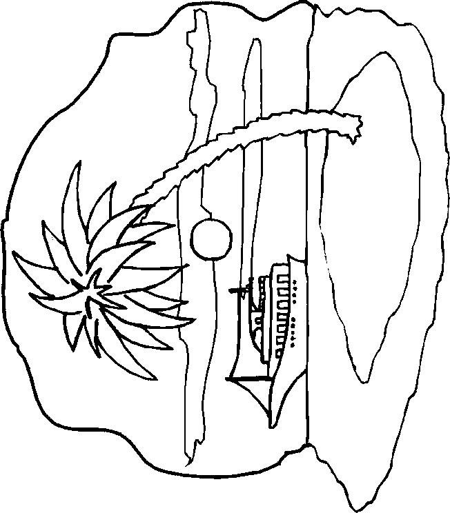 coloriage ile deserte paradis 06