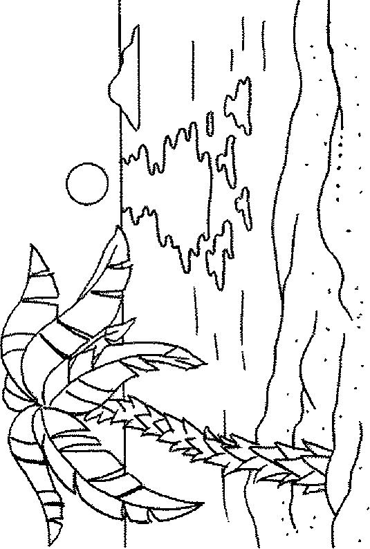 coloriage ile deserte paradis 10