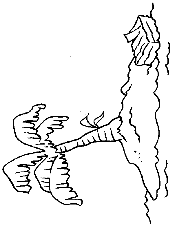 coloriage ile deserte paradis 13