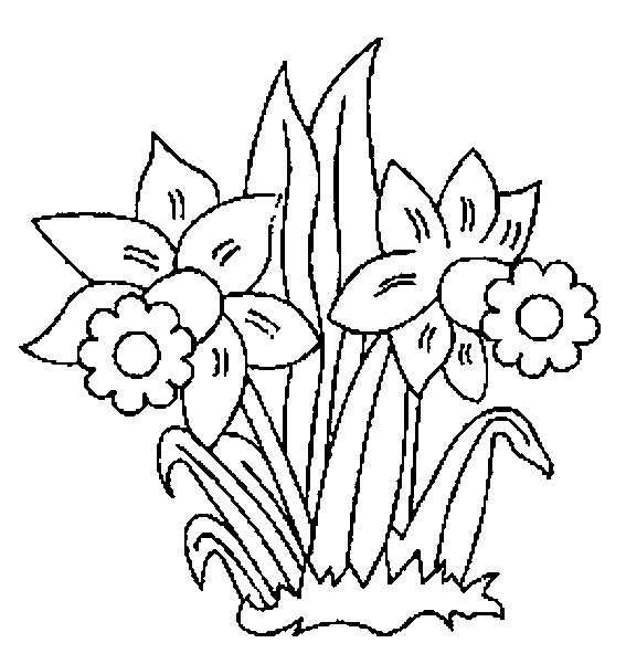 coloriage jonquille 04
