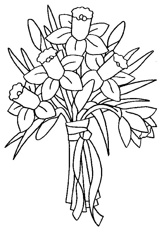 coloriage jonquille 05